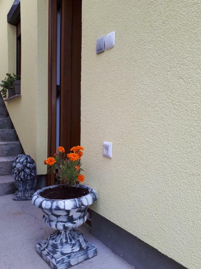 Apartment Dujica Senj  Buitenkant foto